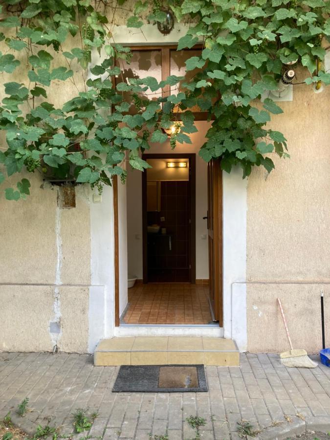 Contessa Central Studio II Κλουζ-Ναπόκα Εξωτερικό φωτογραφία